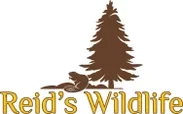 My Blog